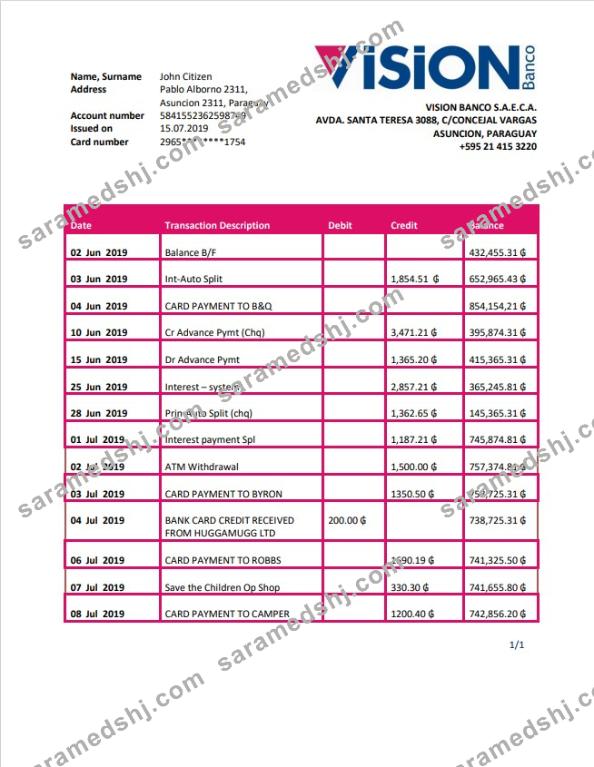 Paraguay Vision Banco bank statement